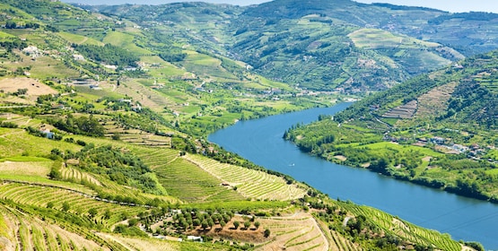 Las mejores visitas de los alrededores de Oporto